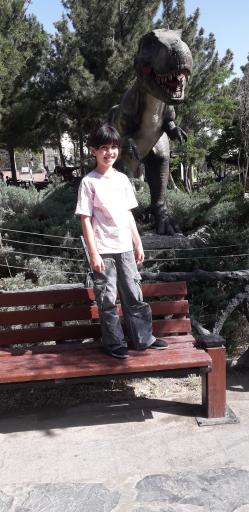 عکس پارک حشرات (اسپایدر پارک)