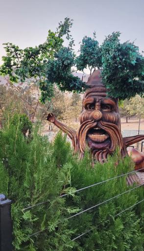 عکس پارک حشرات (اسپایدر پارک)