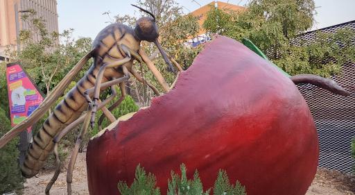 عکس پارک حشرات (اسپایدر پارک)