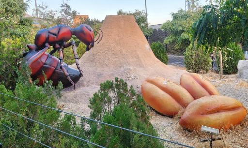 عکس پارک حشرات (اسپایدر پارک)