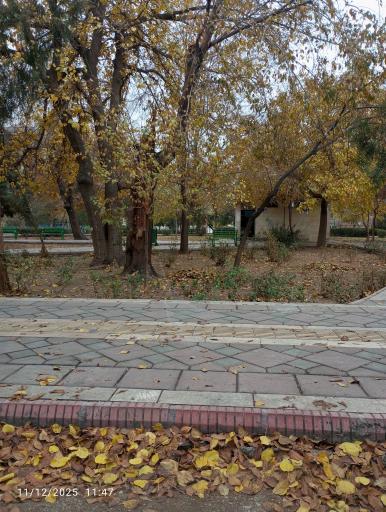عکس سرویس بهداشتی