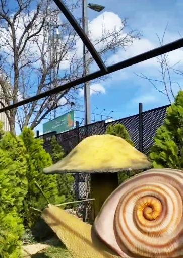 عکس پارک حشرات (اسپایدر پارک)