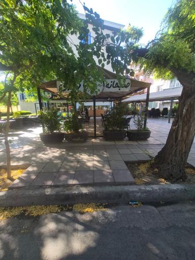 عکس صبحانه نیمروز