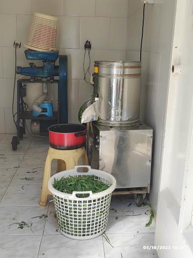 عکس سبزی خردکنی ترخون 