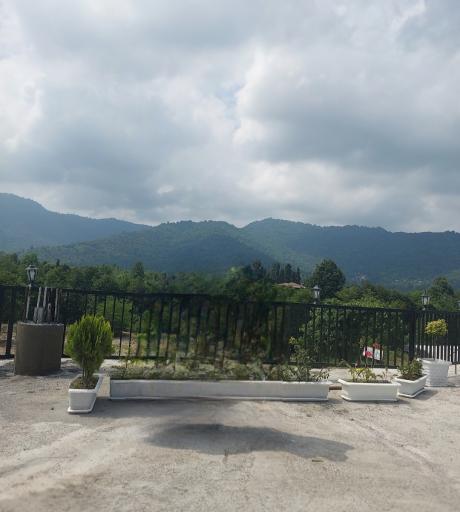 عکس کافه تالار و رستوران پاتریس