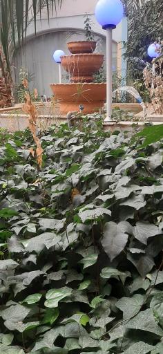 عکس مجتمع  پذیرایی و سالن غذاخوری پرواز