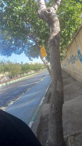 عکس  مجلسی 6