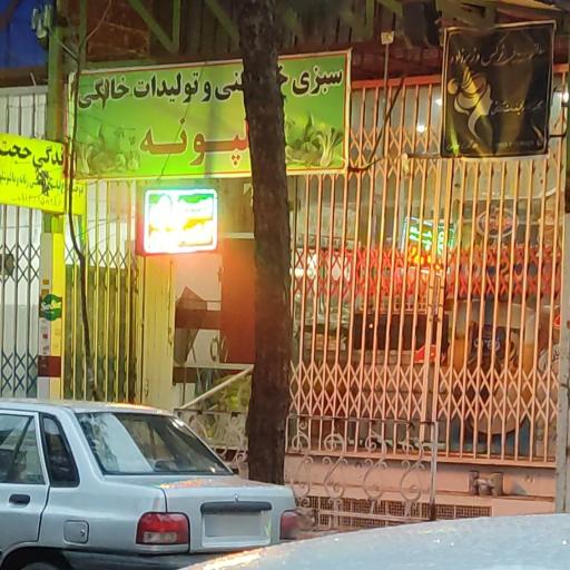 عکس سبزی خردکنی و تولیدات خانگی گل پونه