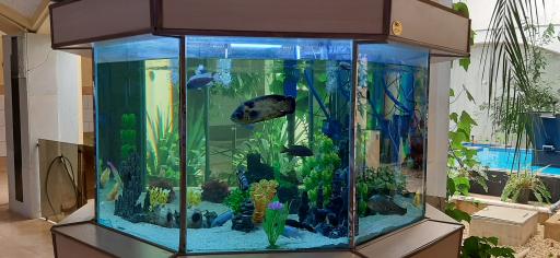 عکس مجتمع  پذیرایی و سالن غذاخوری پرواز