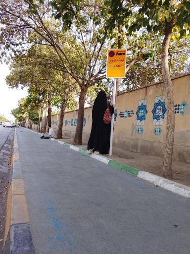 عکس  مجلسی 6