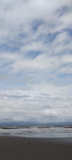 عکس ساحل گلسرخ