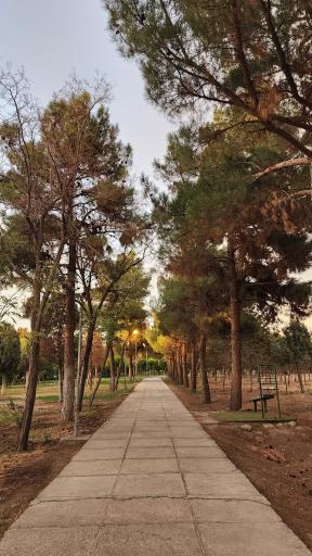 دانشگاه خوارزمی واحد کرج