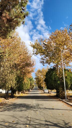 دانشگاه خوارزمی واحد کرج