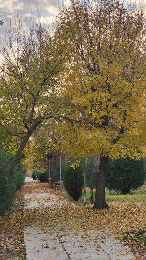 عکس دانشگاه خوارزمی واحد کرج