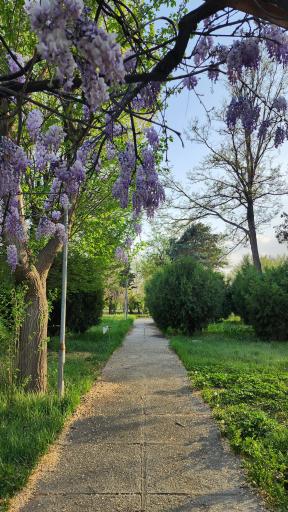 دانشگاه خوارزمی واحد کرج