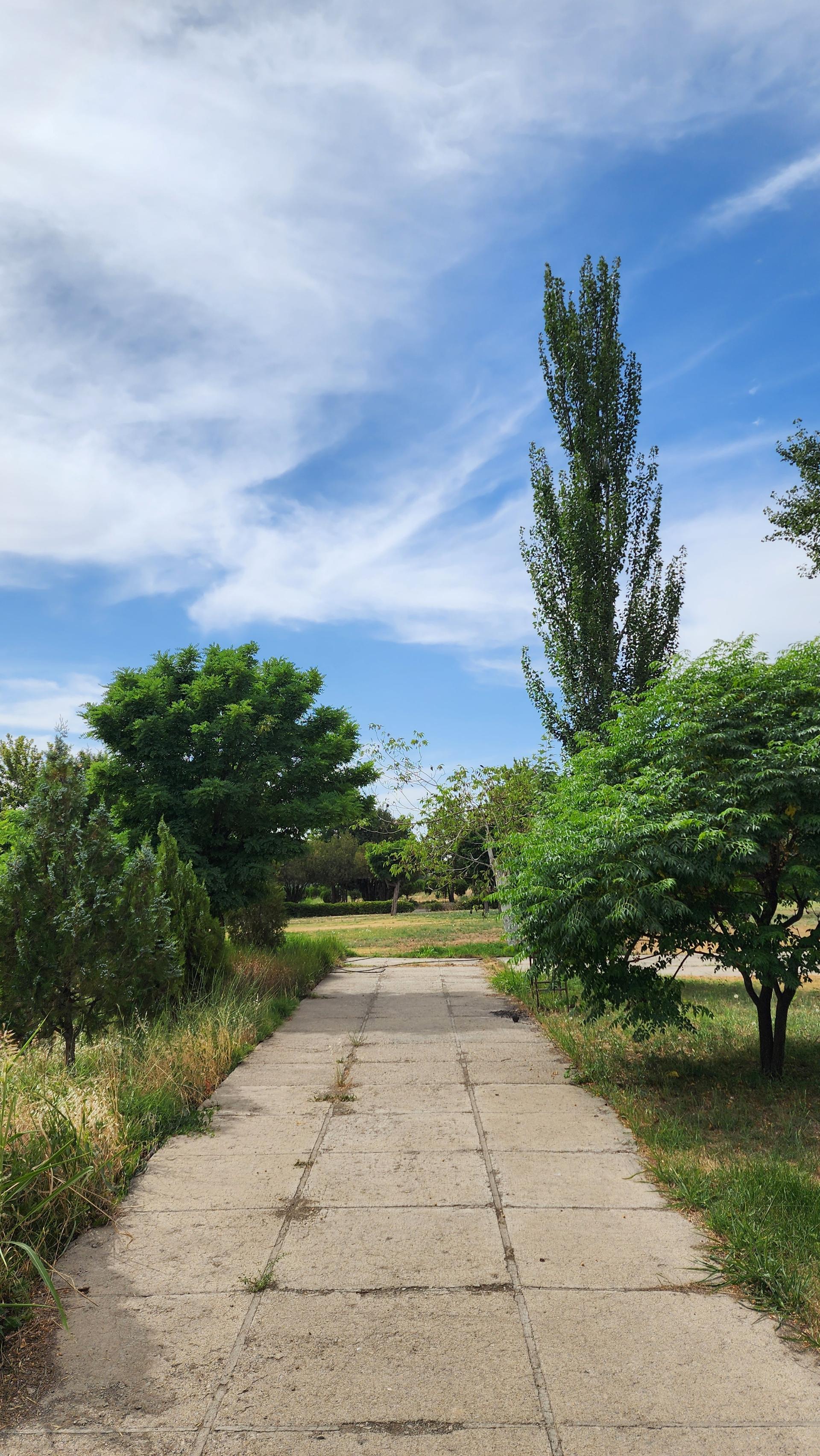عکس دانشگاه خوارزمی واحد کرج