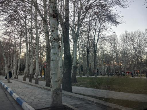 عکس پارک گلدیس