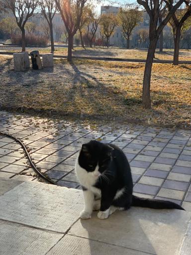 عکس دانشگاه خوارزمی واحد کرج