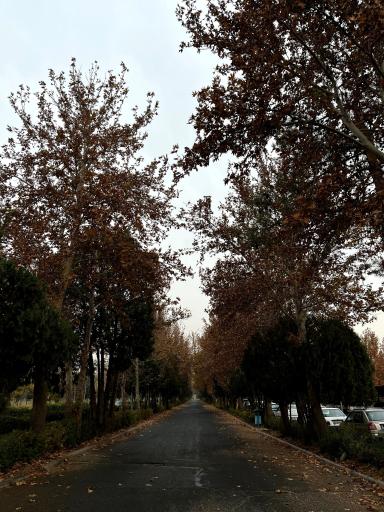 عکس دانشگاه خوارزمی واحد کرج