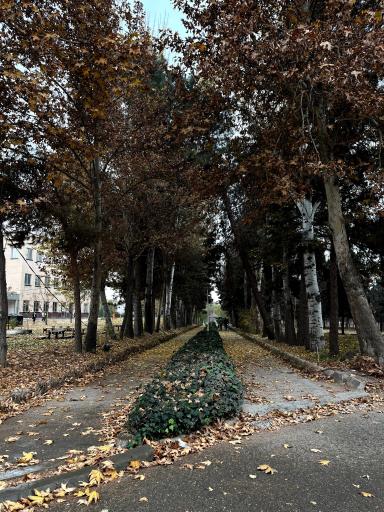 عکس دانشگاه خوارزمی واحد کرج