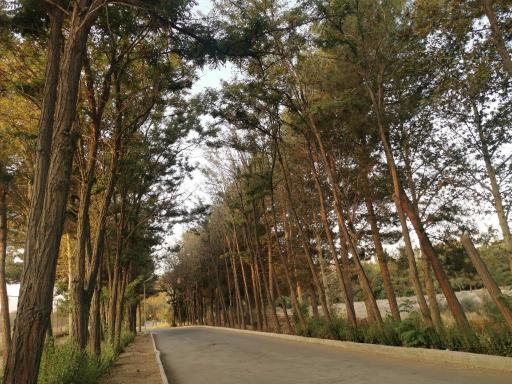 عکس دانشگاه خوارزمی واحد کرج