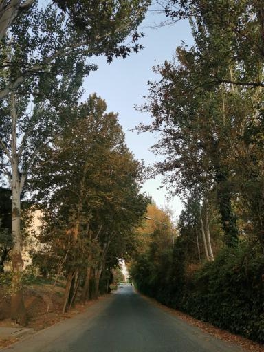 عکس دانشگاه خوارزمی واحد کرج