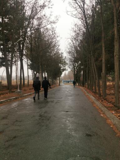 عکس دانشگاه خوارزمی واحد کرج