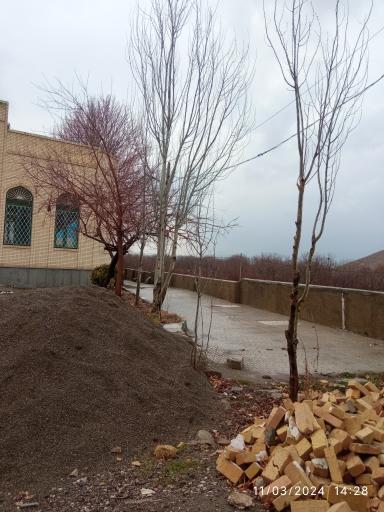 عکس امامزاده جعفر