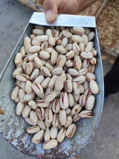 مواد غذایی حسن فرامرزی