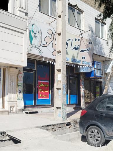 عکس تهیه غذای بانو