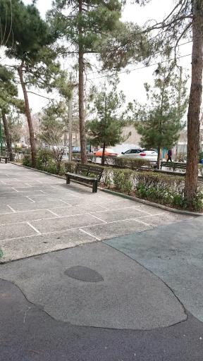 عکس بوستان پونک