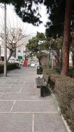 عکس بوستان پونک