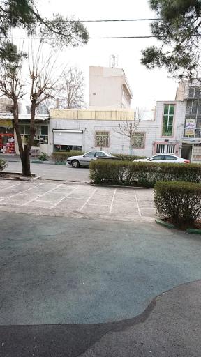 عکس بوستان پونک