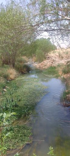 عکس چشمه همگین