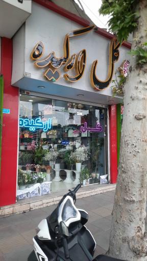 عکس گل فروشی ارکیده