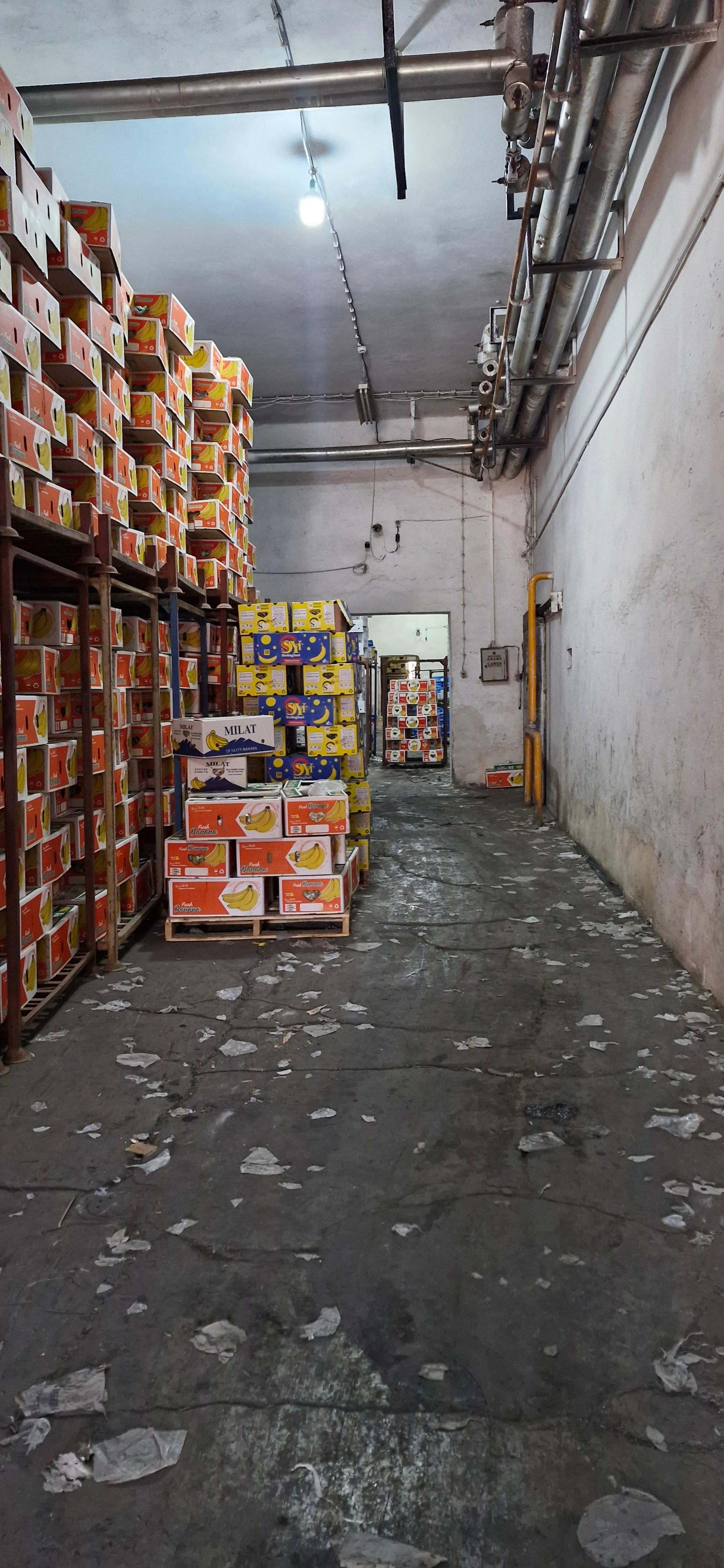 عکس سردخانه کوکووان