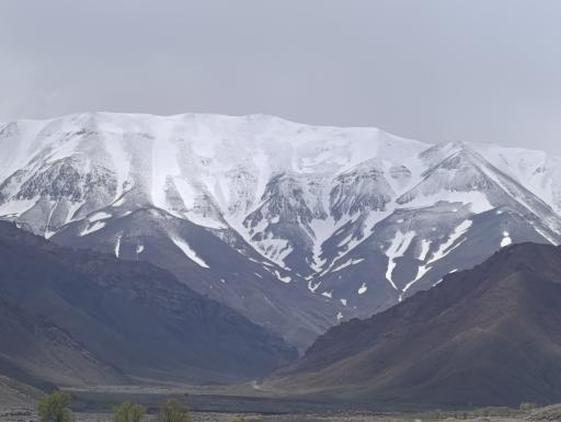 عکس کدکن