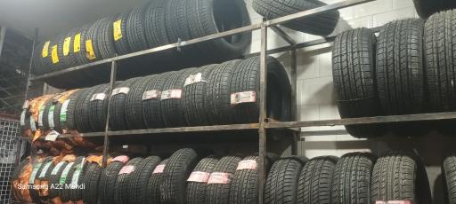 عکس لاستیک محمودزاده 