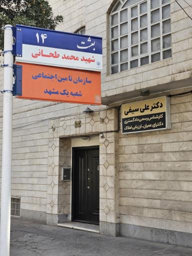 عکس دکتر علی سیفی (کارشناس رسمی دادگستری)