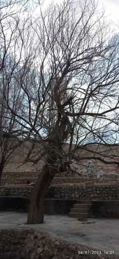 عکس چشمه همگین