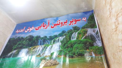 عکس سوپر پروتئین آریایی