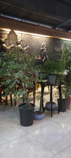 عکس کبابی آق غلام