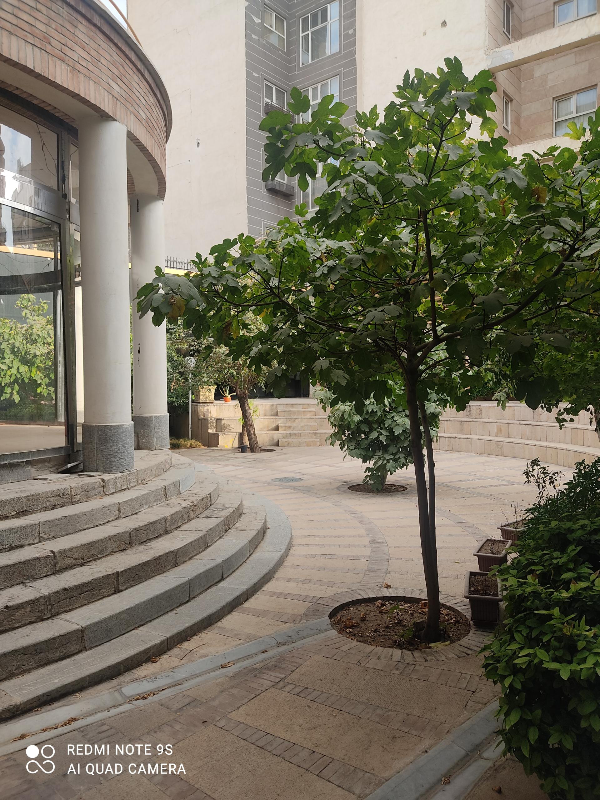 عکس موزه خوشنویسی