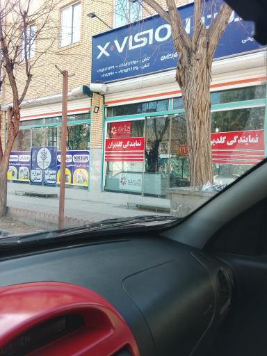 نمایندگی گلدیران