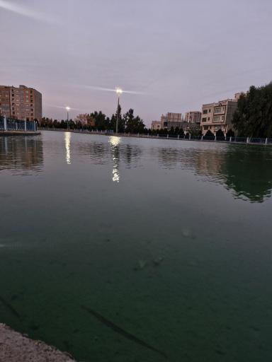 عکس بوستان امام علی
