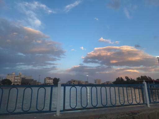 بوستان امام علی