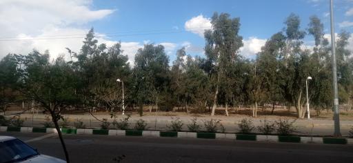 عکس بوستان امام علی
