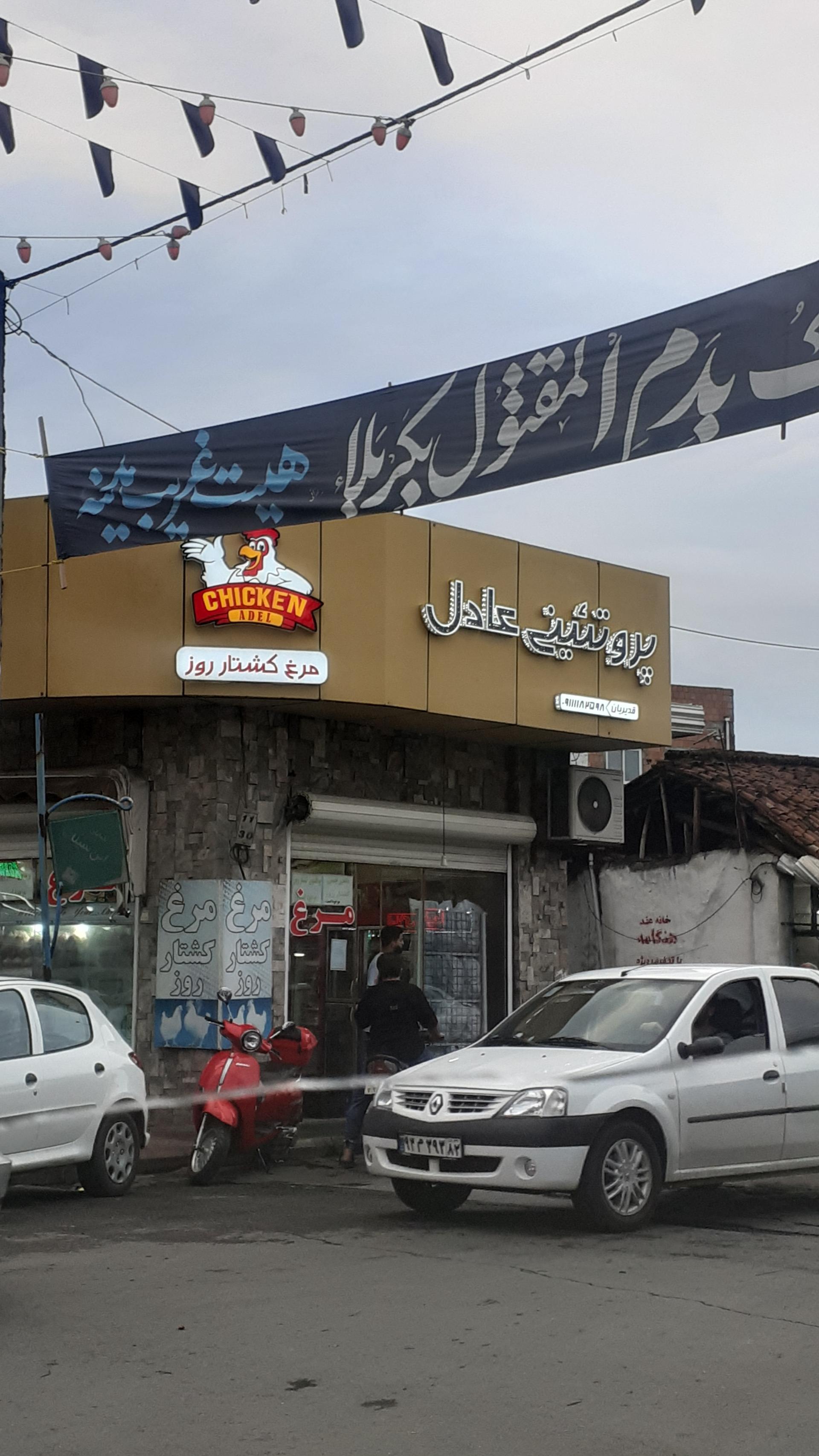 عکس پروتیین عادل