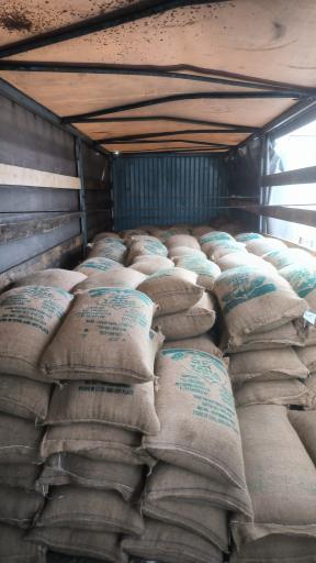 عکس پخش خشکبار علیی