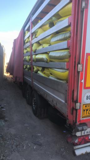 عکس پخش خشکبار علیی